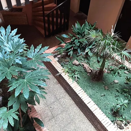 Duplex Cosy Avec Piscine Et Parking A - Fr-1-239-870